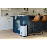 Meaco MeacoDryArete1-10L, Déshumidificateur Blanc/Beige