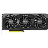 PNY VCG507012TFXPB1-O, Carte graphique 