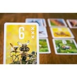 Pegasus Pixies, Jeu de cartes 