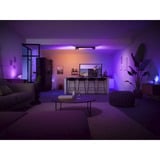 Philips Hue 929003808801, Lumière LED Noir