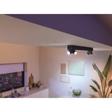 Philips Hue 929003808801, Lumière LED Noir