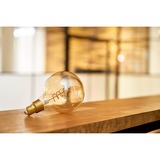 Shelly Vintage G125, Lampe à LED 