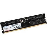 ADATA 8 Go DDR5-5600 (1x 8 Go) mémoire vive Noir, AD5U56008G-S