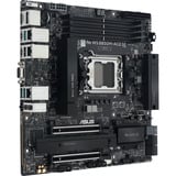 ASUS PRO WS B850M-ACE SE carte mère socket AM5 