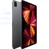 Apple iPad Pro 11" Cellular (2 TB) Reconditionné tablette 11" Gris