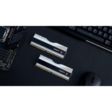 G.Skill 64 Go DDR5-6400 Kit, Mémoire vive Argent/Noir, F5-6400J3239G32GX2-TZ5RS, Trident Z5 RGB, XMP