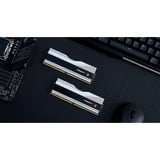 G.Skill 64 Go DDR5-6400 (2x 32 Go) mémoire vive Argent, F5-6400J3239G32GX2-TZ5RS, XMP 3.0