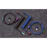 Keychron Premium Coiled Aviator Cable - Rainbow Plated Black, Angled, Câble Noir, 1,08 mètres