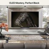 LG OLED48C6ELB.AEUD 48" Ultra HD TV OLED Noir