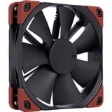 Noctua NF-F12 industrialPPC-24V-2000 SP ventilateur de boîtier Noir, 120 x 120 x 25 mm, PWM
