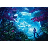 Schmidt Spiele Cameron Gray Fantaisie Céleste, Puzzle 