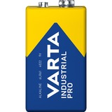 Varta 04022211111 Batterie à usage unique 9V Alcaline Batterie à usage unique, 9V, Alcaline, 9 V, 20 pièce(s), Bleu