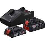 Bosch Set de démarrage 18V (GBA 18V 4,0/2,0Ah + GAL 18V-40 Professional), Bundle Noir
