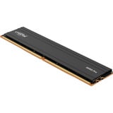 Crucial CP24G60C48U5, Mémoire vive Noir