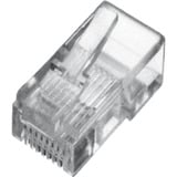 Digitus Connecteur modulaire pour câble plat, Prise de courant Transparent
