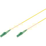 Digitus DK-2933-03-APC-SX, Câble Jaune