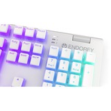 ENDORFY clavier gaming Blanc, Layout DE, Kailh RGB Brown