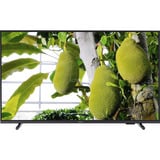 Philips 7000 series 55PUS7000/12 TV 139,7 cm (55") 4K Ultra HD Smart TV Wifi Noir 55" LED Noir, 139,7 cm (55"), 3840 x 2160 pixels, LED, Smart TV, Wifi, Noir