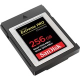 SanDisk Carte mémoire