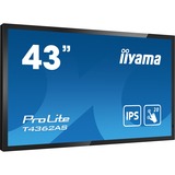 iiyama ProLite T4362AS-B1, Affichage public Noir