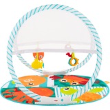 Fisher Price Fxc15 Gymnase Et Tapis D Eveil Pour Bebe Multicolore Tapis De Jeux Pour Bebe