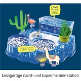 KOSMOS 63326 Coffrets de sciences pour enfant, Boîte d’expérience Kit d'expériences, Biologie, 8 an(s), Multicolore