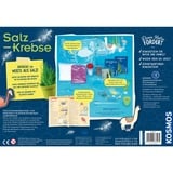 KOSMOS 63326 coffret de sciences pour enfant, Boîte d’expérience Aquarium, Biologie, 8 an(s), Multicolore