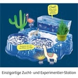 KOSMOS 63326 coffret de sciences pour enfant, Boîte d’expérience Aquarium, Biologie, 8 an(s), Multicolore