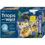 KOSMOS Kit per esperimenti Triops-Welt 633073 da 8 anni, Boîte d’expérience 