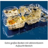 KOSMOS Kit per esperimenti Triops-Welt 633073 da 8 anni, Boîte d’expérience 