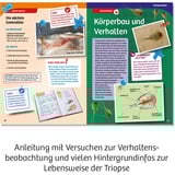 KOSMOS Kit per esperimenti Triops-Welt 633073 da 8 anni, Boîte d’expérience 