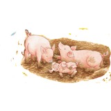 Ravensburger Puzzle : A la grande ferme 40 pièce(s), Animaux