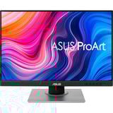 ASUS ProArt Display PA248QV Gen2 (PA248QFV) 24.1" Moniteur  Noir/Argent