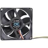 Alphacool 24829 système de refroidissement d’ordinateur Universel Ventilateur 8 cm Noir 1 pièce(s) ventilateur de boîtier Noir, 80 x 80 x 25 mm, PWM, Ventilateur, 8 cm, 1000 tr/min, 6000 tr/min, 50 dB, 130,83 m³/h