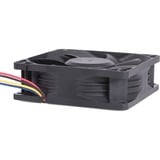 Alphacool 24829 système de refroidissement d’ordinateur Universel Ventilateur 8 cm Noir 1 pièce(s) ventilateur de boîtier Noir, 80 x 80 x 25 mm, PWM, Ventilateur, 8 cm, 1000 tr/min, 6000 tr/min, 50 dB, 130,83 m³/h