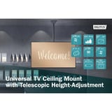 Digitus Support universel de plafond pour TV avec réglage télescopique en hauteur Noir