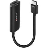 Lindy 38329 câble vidéo et adaptateur 0,157 m HDMI Type A (Standard) DisplayPort Noir, Convertisseur Noir, 0,157 m, HDMI Type A (Standard), DisplayPort, Mâle, Femelle, Droit