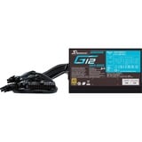 Seasonic G12 GM-850 alimentation  850 watt 3x PCIe