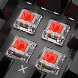 Sharkoon SKILLER SGK20 RGB clavier gaming mécanique Noir, Layout BE (AZERTY), Huano Red, 100%