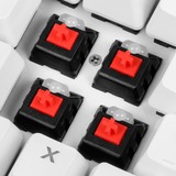 Sharkoon SKILLER SGK3 clavier USB QWERTY Anglais, Espagnole Blanc, clavier gaming Blanc, Layout ES, Kailh Red, Taille réelle (100 %), USB, Clavier mécanique, QWERTY, LED RGB, Blanc