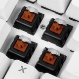 Sharkoon SKILLER SGK3 clavier USB QWERTY Anglais, Espagnole Blanc, clavier gaming Blanc, Layout ES, Kailh Red, Taille réelle (100 %), USB, Clavier mécanique, QWERTY, LED RGB, Blanc