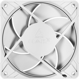 ARCTIC P12 Pro PST, Ventilateur de boîtier Blanc