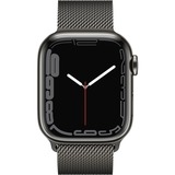 Apple Smartwatch graphite/graphite