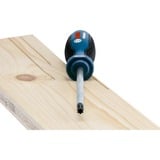 Bosch Set de tournevis et outils à main, 19 pièces, Set de pinces Bleu