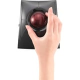 Kensington Trackball SlimBlade Pro Noir/rouge foncé, Ambidextre, Optique, RF Wireless + Bluetooth + USB Type-A, 1600 DPI, Noir
