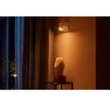 Philips Hue Spot unique Argenta, Lumière LED Blanc, Philips Hue White and Color ambiance Spot unique Argenta, Bluetooth/Zigbee, Blanc, LED, Métal, Multi, 2000 K