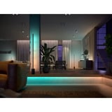 Philips Hue White & Color Ambiance Gradient Ambience Lightstrip incl. rallonge, Bande LED 