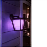 Philips White & Color Ambiance Econic Outdoor applique murale suspendue, Lumière LED Noir