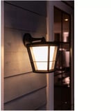 Philips White & Color Ambiance Econic Outdoor applique murale suspendue, Lumière LED Noir