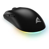 Sharkoon SGM25W, Souris gaming Noir, 12 000 dpi, LED RGB